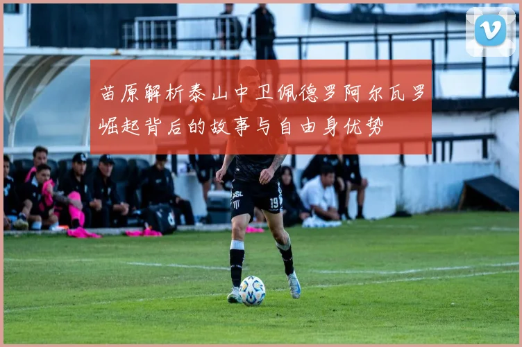 苗原解析泰山中卫佩德罗阿尔瓦罗崛起背后的故事与自由身优势