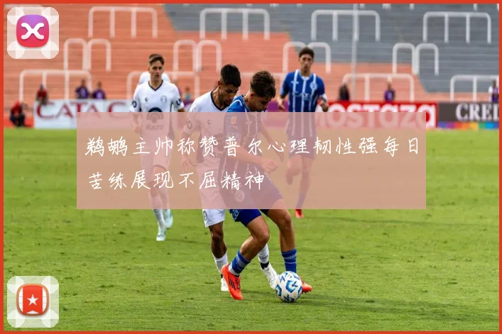 鹈鹕主帅称赞普尔心理韧性强每日苦练展现不屈精神
