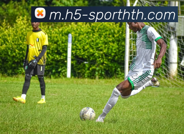 华体会体育平台生态图