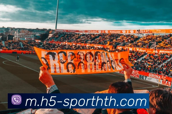 数据防护可视化